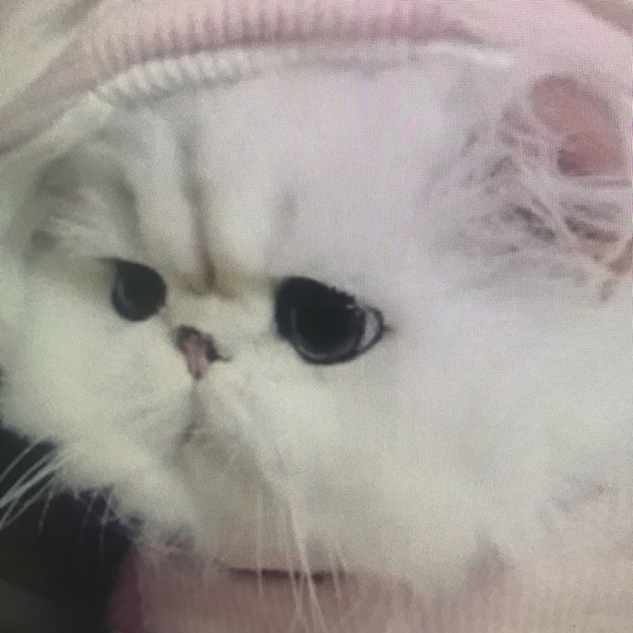 Meet your Posher, Markus - Picture 1 of 1